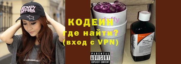 гидра Богородск