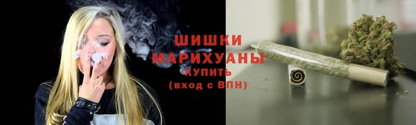 гидра Богородск