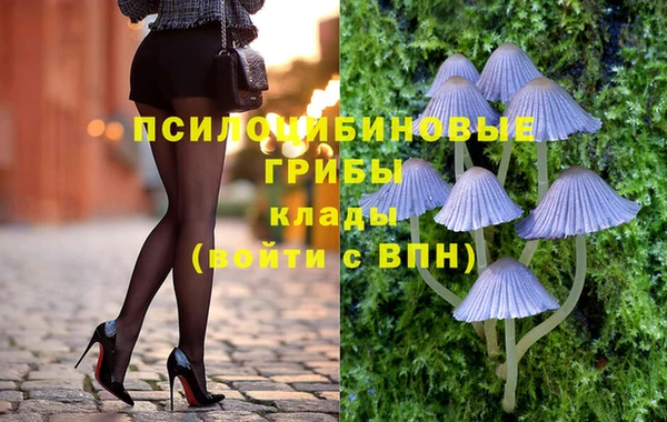 метадон Богородицк