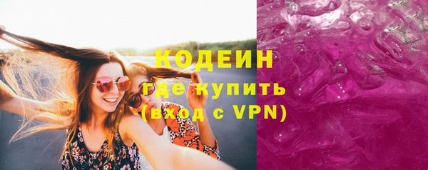 гидра Богородск