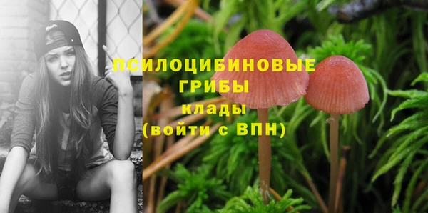 метадон Богородицк
