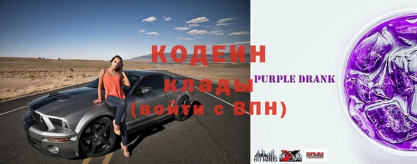 гидра Богородск