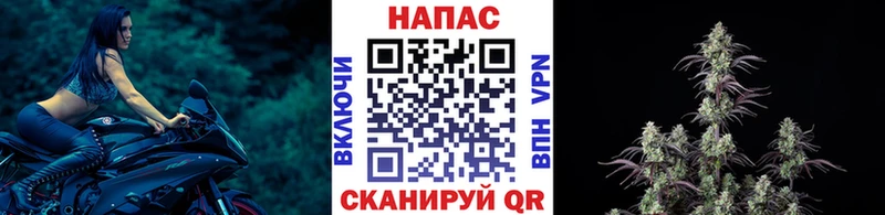 Бошки Шишки VHQ  MEGA маркетплейс  Ачхой-Мартан 